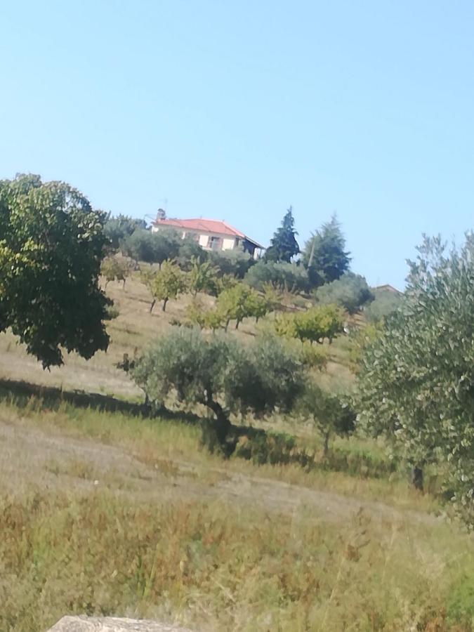 Casa Das Argolas